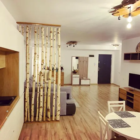 City Vibe Kluž