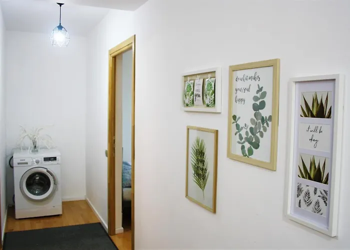 City Vibe Kluż-Napoka