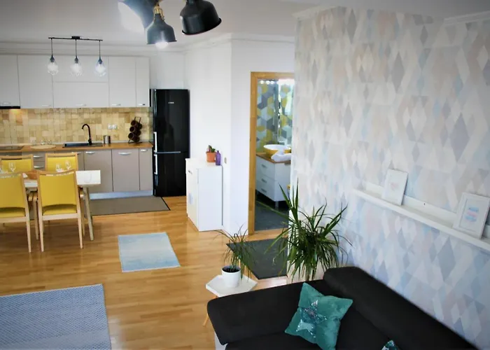 City Vibe * Kluż-Napoka