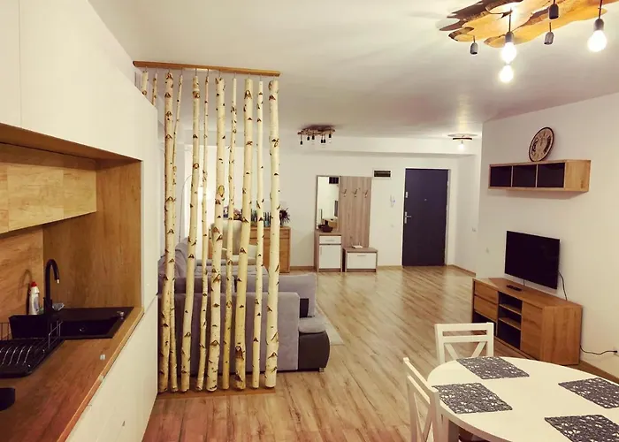 City Vibe Cluj-Napoca