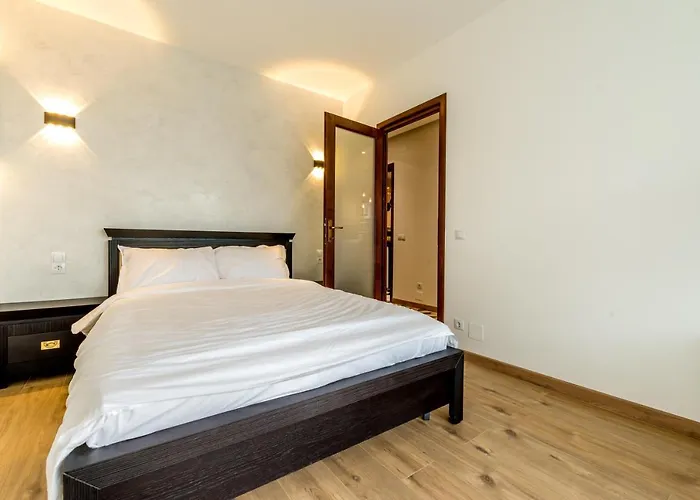 City Vibe Cluj-Napoca